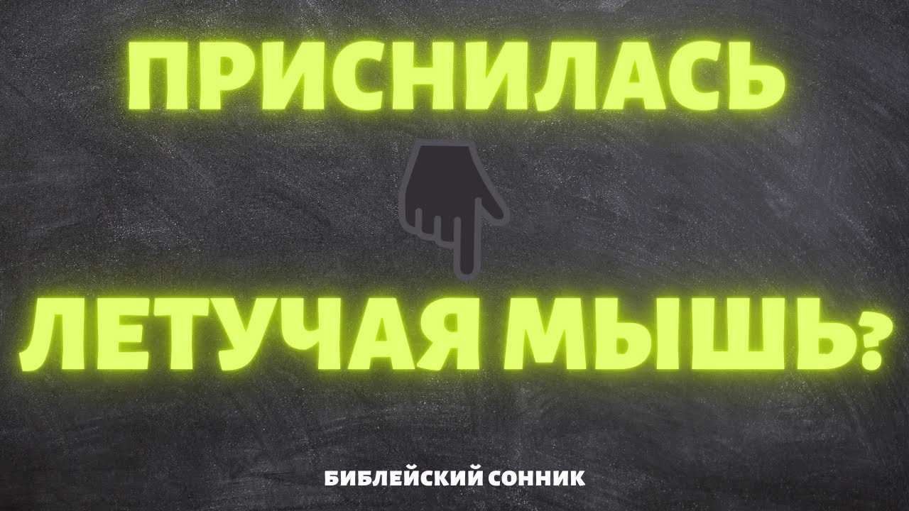 Сон про маленькую мышку, к чему снится, толкования знаменитых сонников