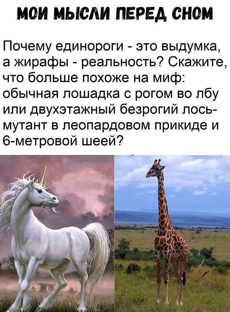 Цитаты из песен про ночь. подборка высказываний и афоризмов про ночь. романтические цитаты про ночь и любовь