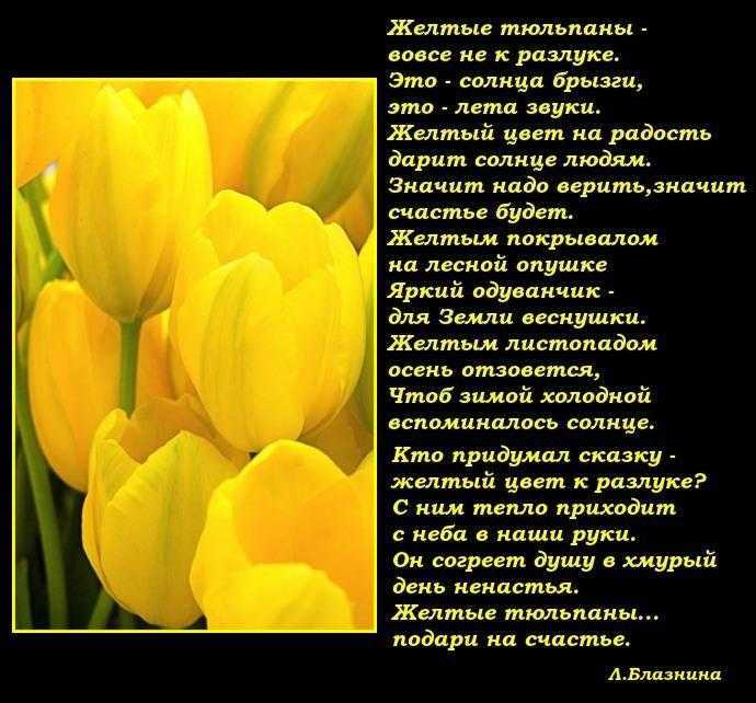 К чему снятся много желтых цветов