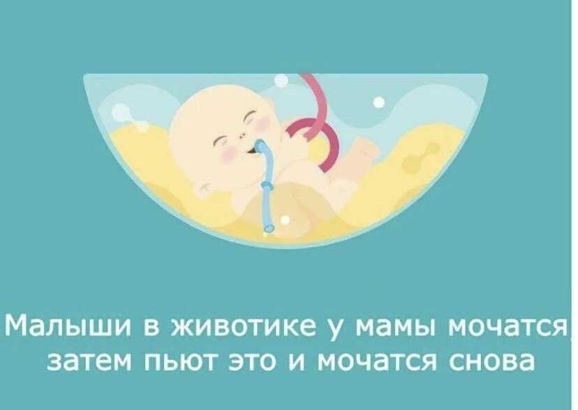 Зачем человеку сон и почему возникают сновидения