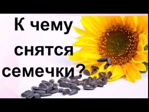 К чему снятся семечки 💤 — топ-41 подробное толкование ✨ по популярным сонникам: что означает видеть либо грызть во сне семена подсолнуха либо тыквы