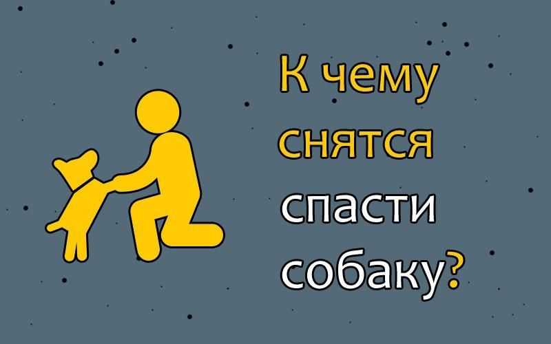 Сонник Защищать во сне собаку приснилось, к чему снится во сне Защищать во сне собаку Для выбора толкования сна введите ключевое слово из вашего сновидения в