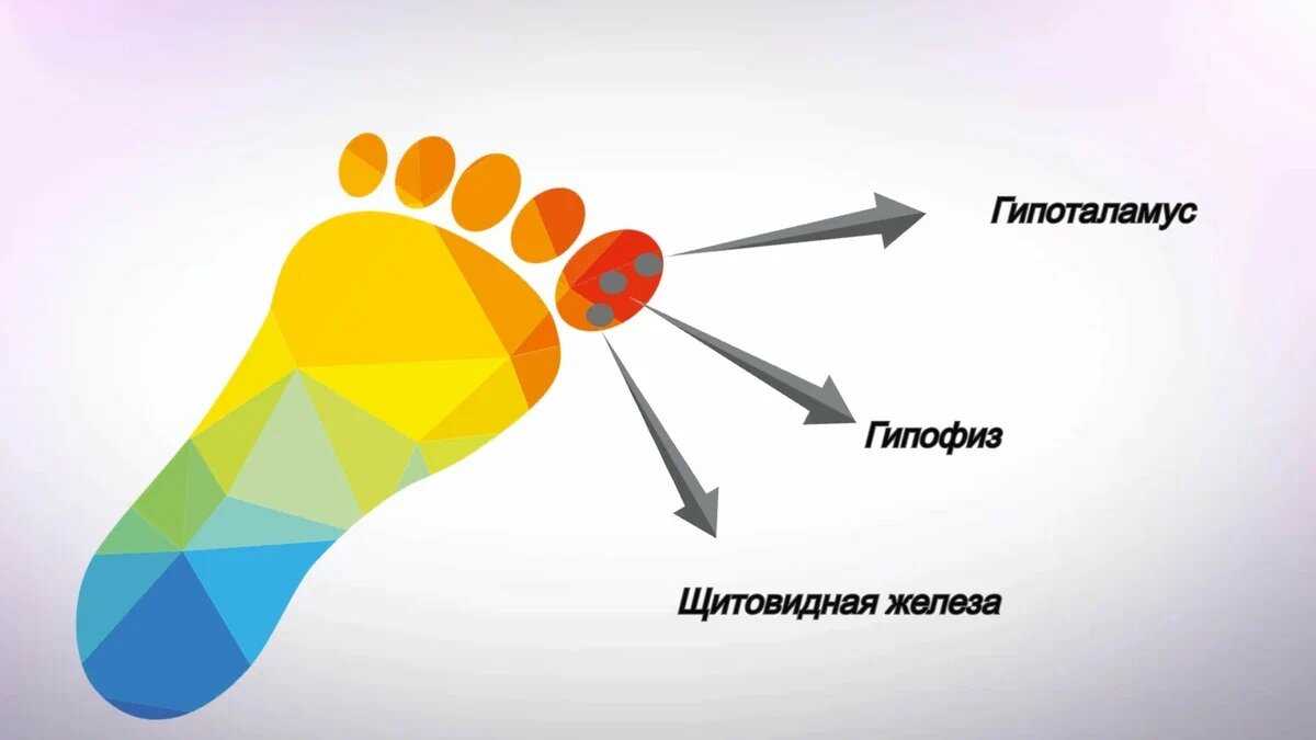 Человек проводит треть жизни «нигде». зачем мы спим?