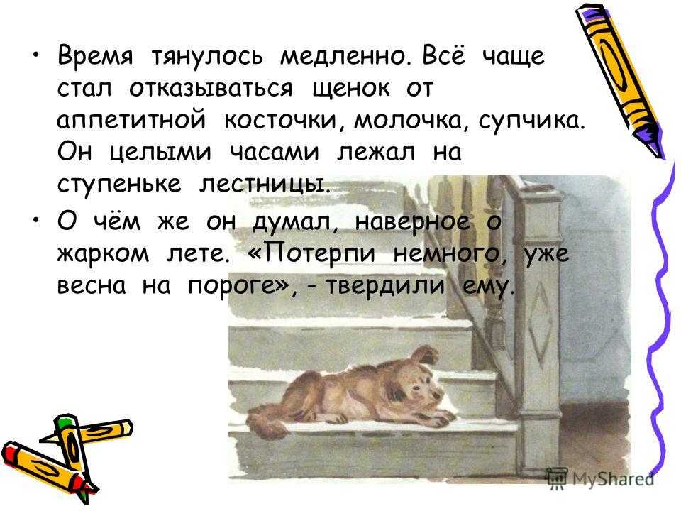 Осенняя ночь тянется медленно сон в такую ночь в палатке крепкий но недолгий