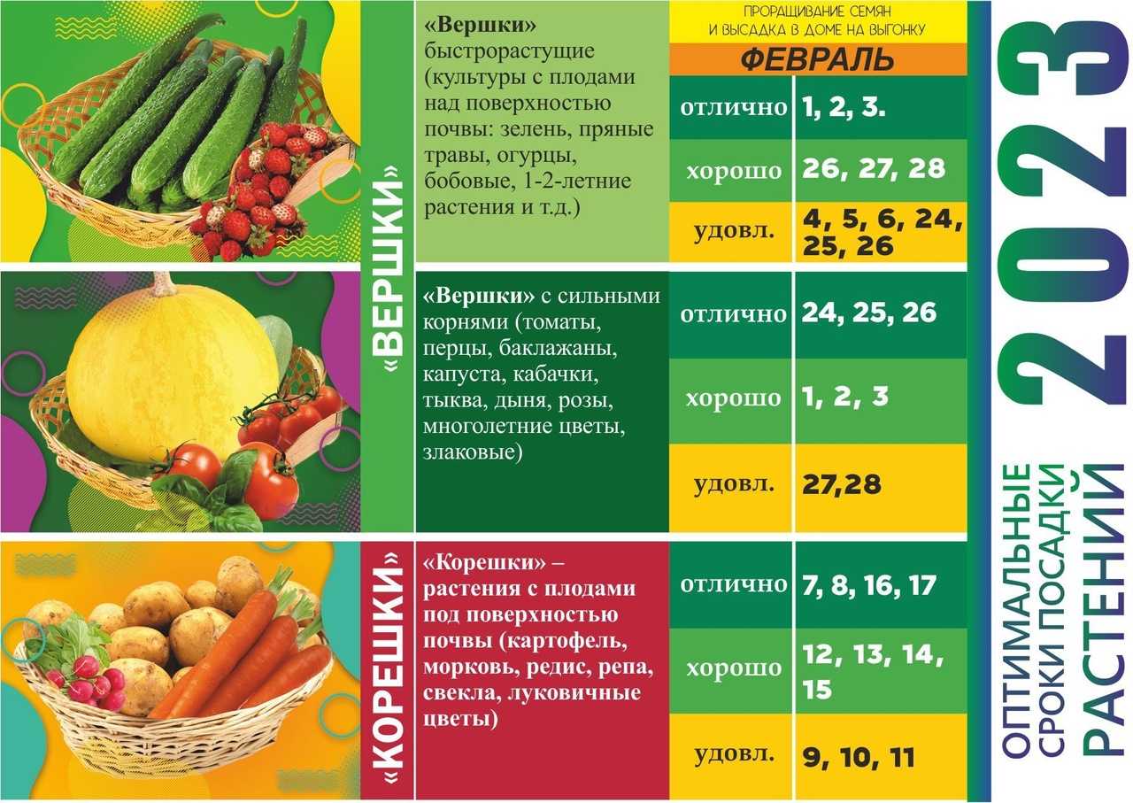 Сбываемость снов по лунному календарю: фазы, толкование по дням