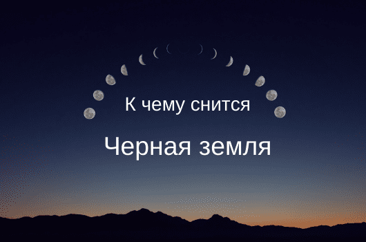 Сонник ведро | гороскопы 365