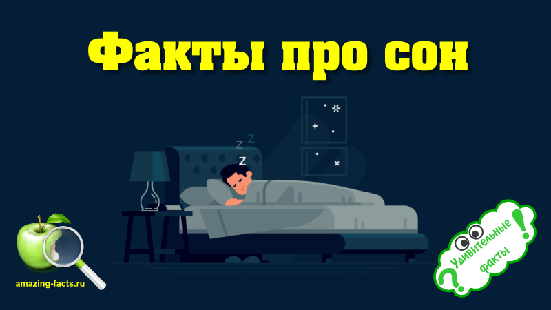 К чему снятся тараканы во сне женщине?