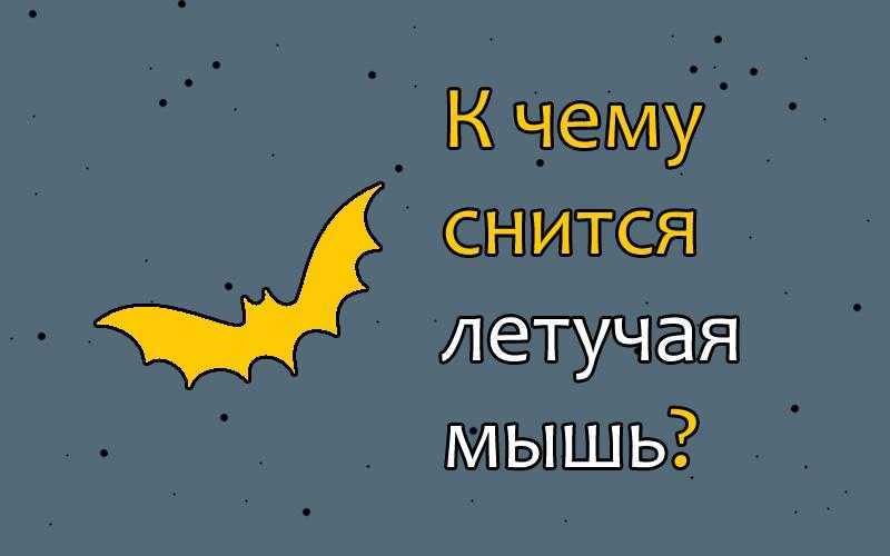 Сонник предупреждает, что мышонок, явившийся во сне, весьма противоречивый знак Интерпретация, к чему снится хвостатый, может варьироваться в зависимости от