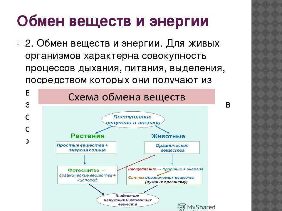 Быстрые и медленные углеводы: их свойства для похудения, список продуктов