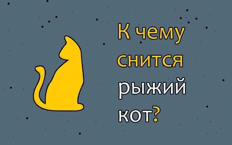 Ориентальная кошка