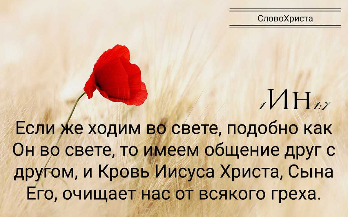 Источник жизни
					—
					твоя кровь, что омыла нас
					03:34