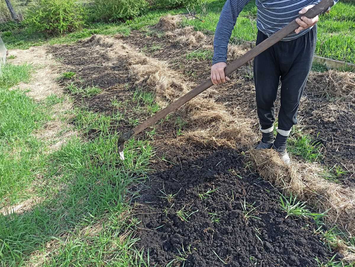 Во сне копать огород - сонник копать землю лопатой в огороде