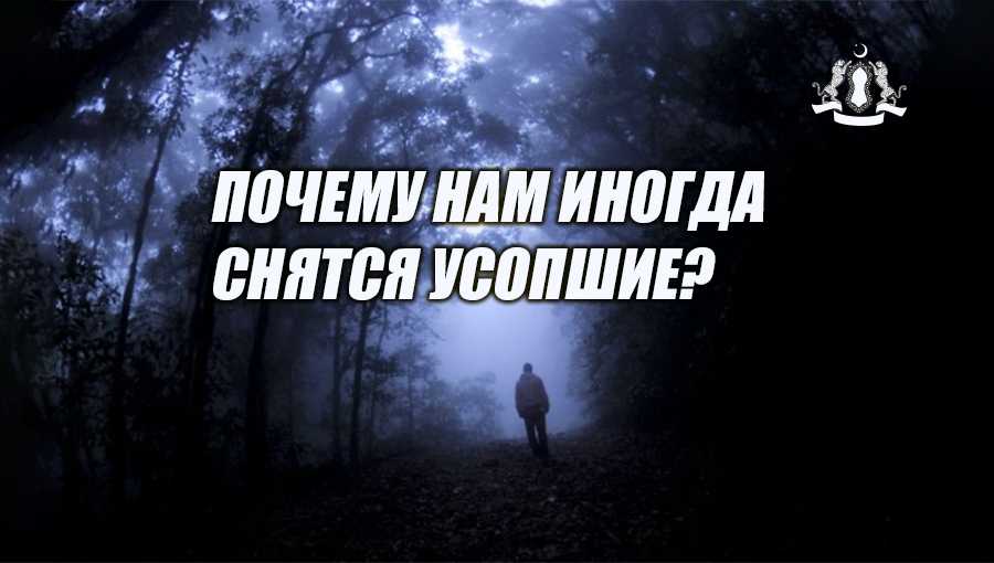К чему снится гроб