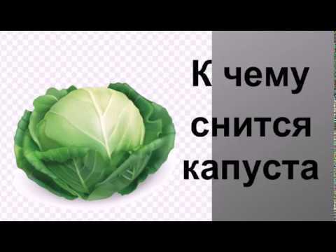 Капуста — полное толкование сна по сонникам