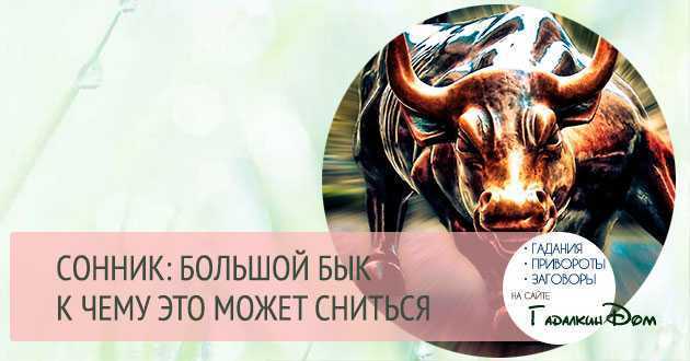 К чему снится бык