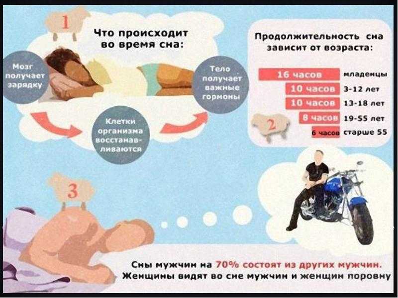 К чему снится много живых тараканов в доме и квартире