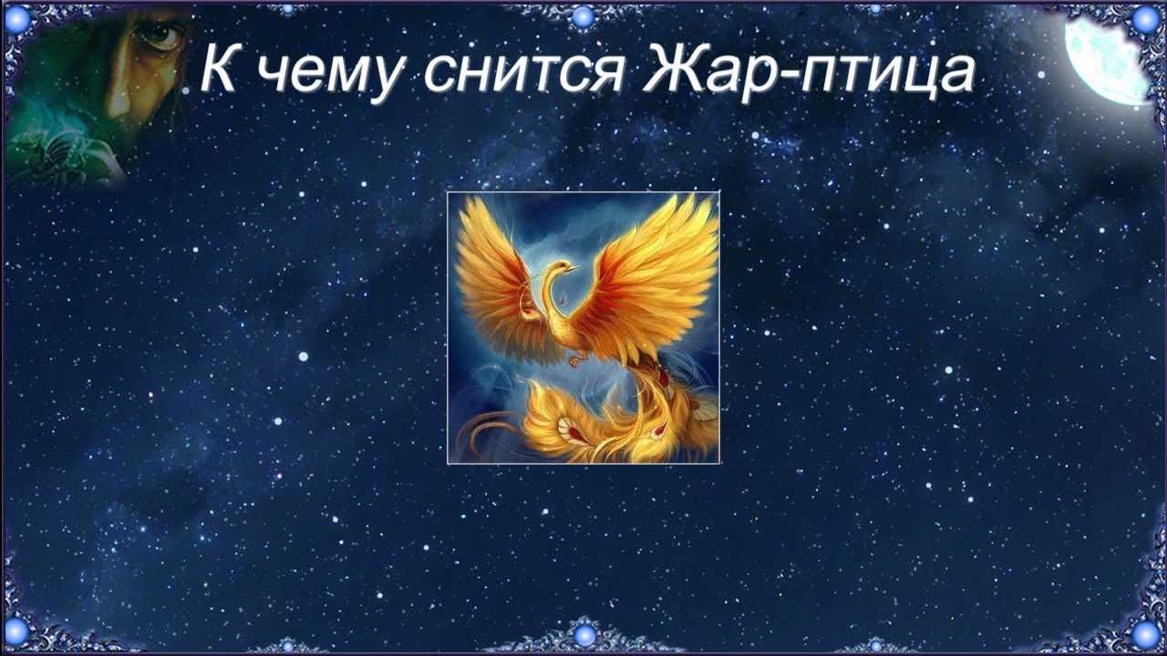 К чему снится аист? толкование по 71 соннику