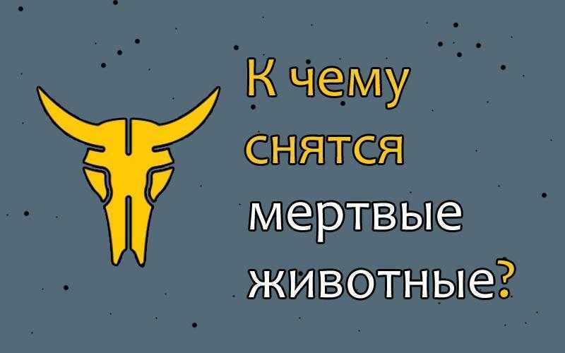 Сонник животные | гороскопы 365