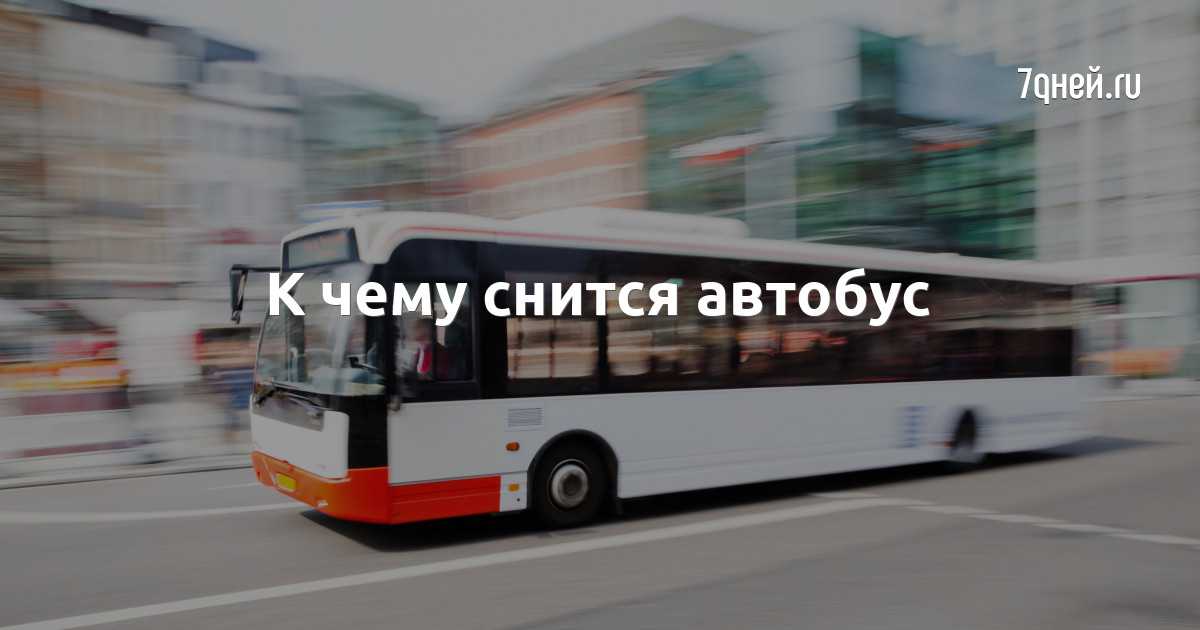 К чему снится автобус – сонник энигма