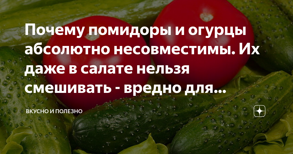 К чему снятся огурцы женщине или мужчине — 65 толкований из разных сонников